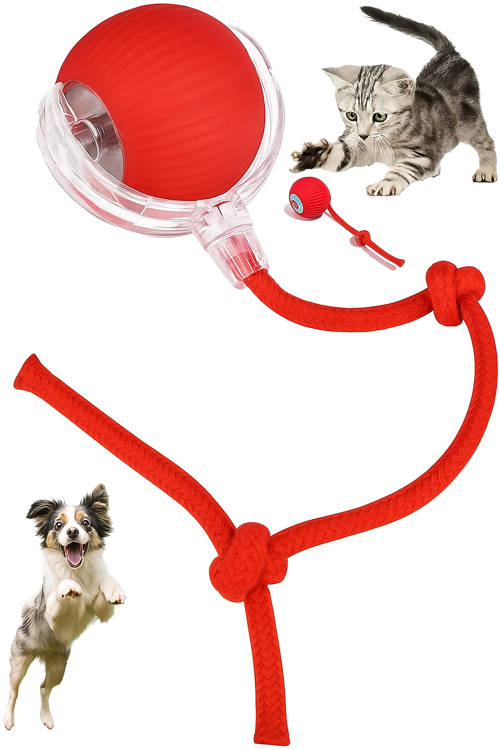 Smart Interactive Rolling Pet Ball – Keeps Pets Happy & Engaged