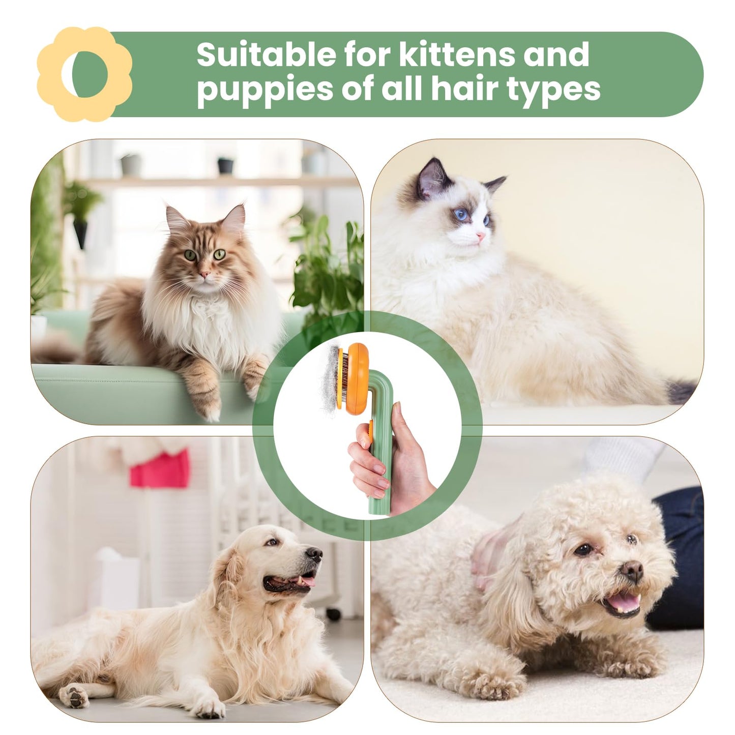 Premium Pumpkin Pet Brush – Remove Shedding Hair in Seconds