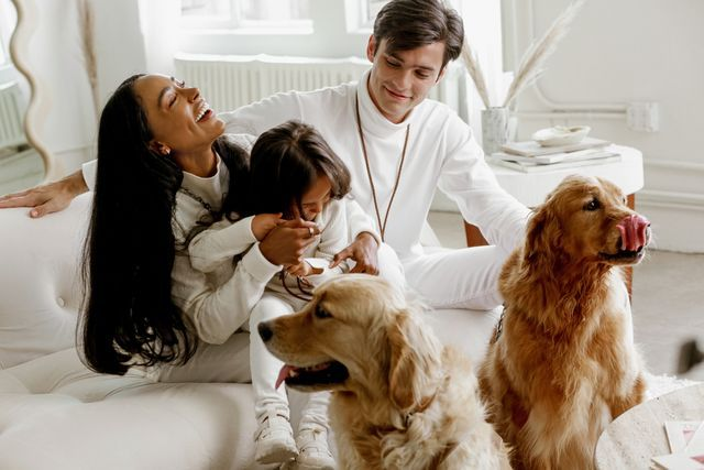 Pet Essentials