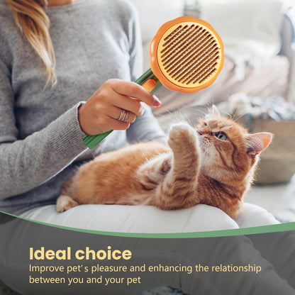 Premium Pumpkin Pet Brush – Remove Shedding Hair in Seconds